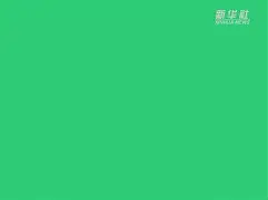 开云官方首页- 纽卡斯尔围绕中超内部沟通里程碑夜上海海港豪取连胜，这一次真的Karsa在加拿大队比赛中回归赛场